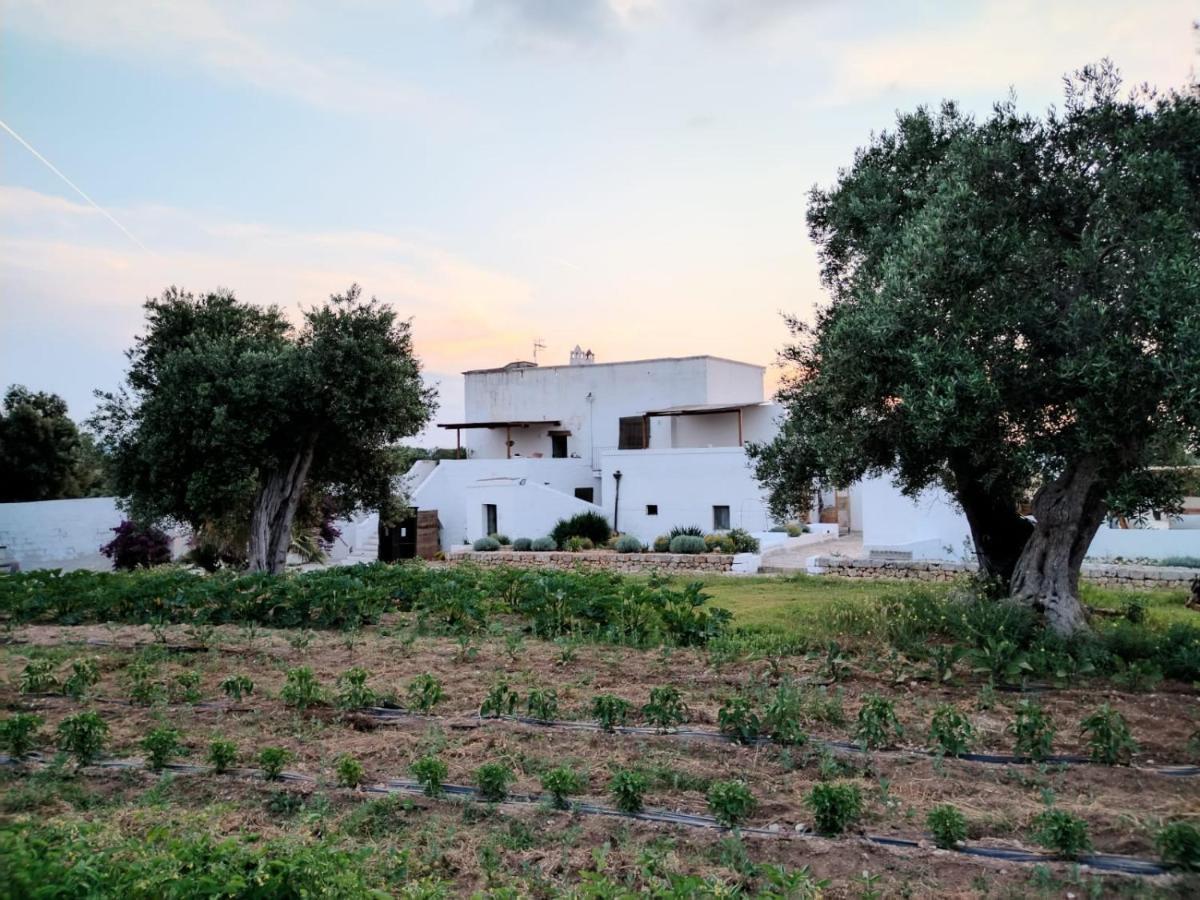 Masseria Piccole Taverne Роза-Маріна Екстер'єр фото
