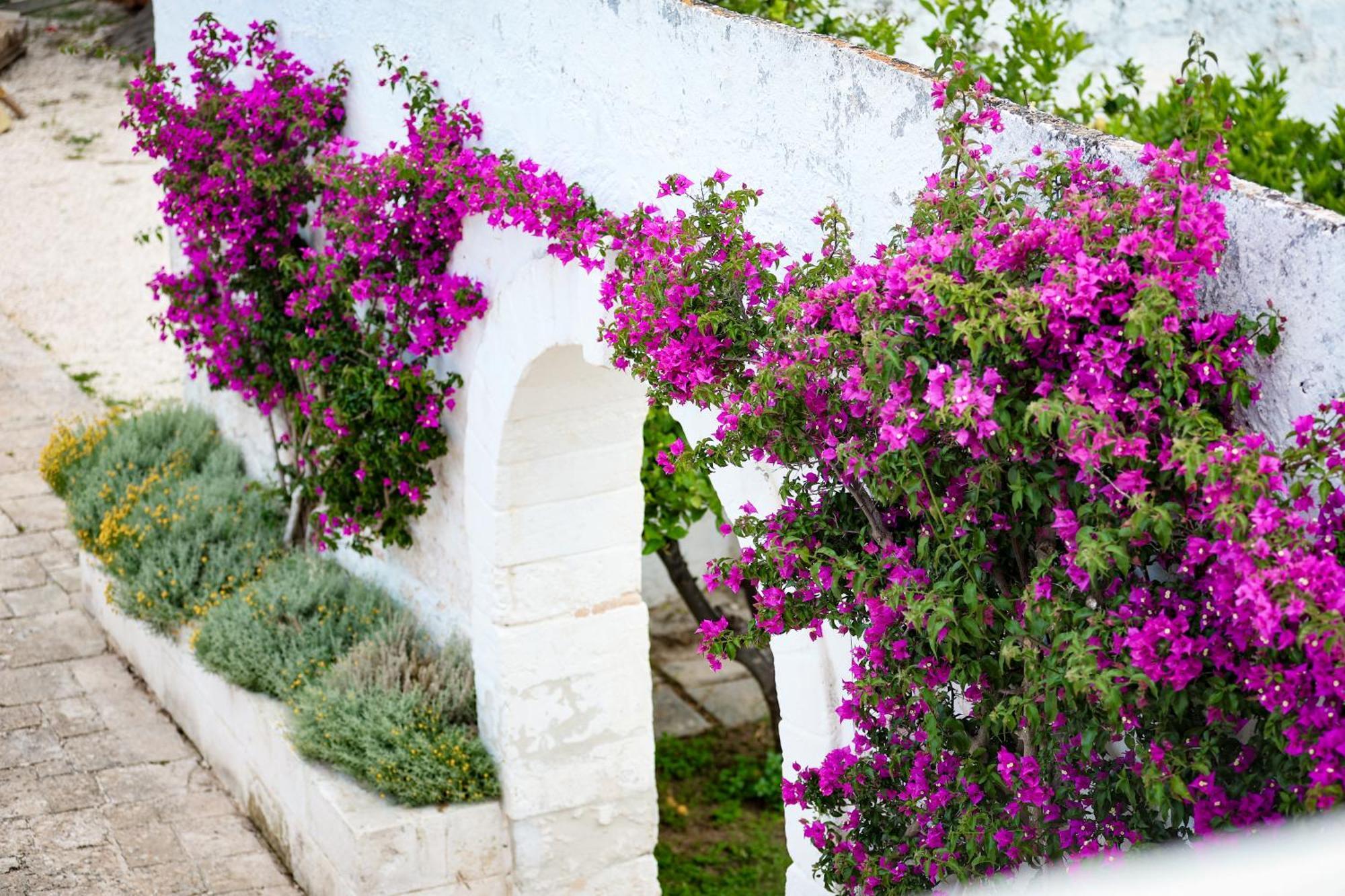 Masseria Piccole Taverne Роза-Маріна Екстер'єр фото
